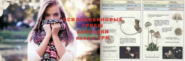 соль ск Белоозёрский