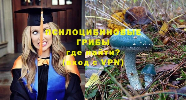 кокаин премиум Богданович