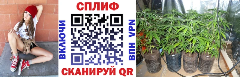 купить Бирюсинск Бошки Шишки MAZAR